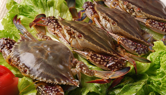 Frozen Swimming Crab